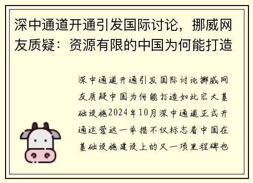 深中通道开通引发国际讨论，挪威网友质疑：资源有限的中国为何能打造如此宏大基础设施？