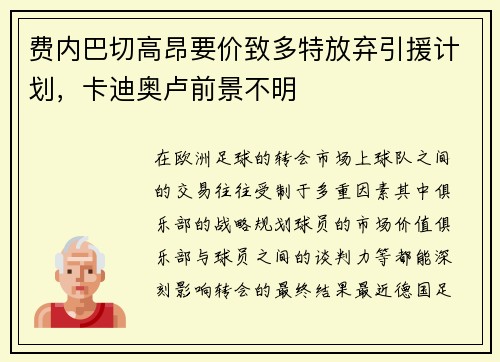 费内巴切高昂要价致多特放弃引援计划，卡迪奥卢前景不明