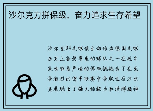 沙尔克力拼保级，奋力追求生存希望