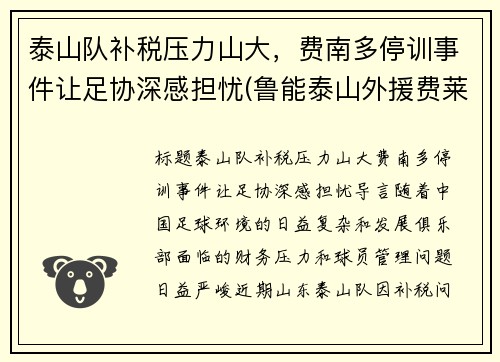泰山队补税压力山大，费南多停训事件让足协深感担忧(鲁能泰山外援费莱尼)