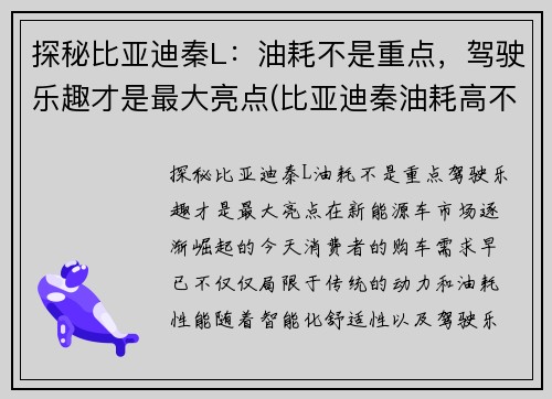 探秘比亚迪秦L：油耗不是重点，驾驶乐趣才是最大亮点(比亚迪秦油耗高不高)