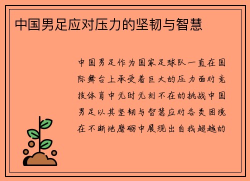 中国男足应对压力的坚韧与智慧